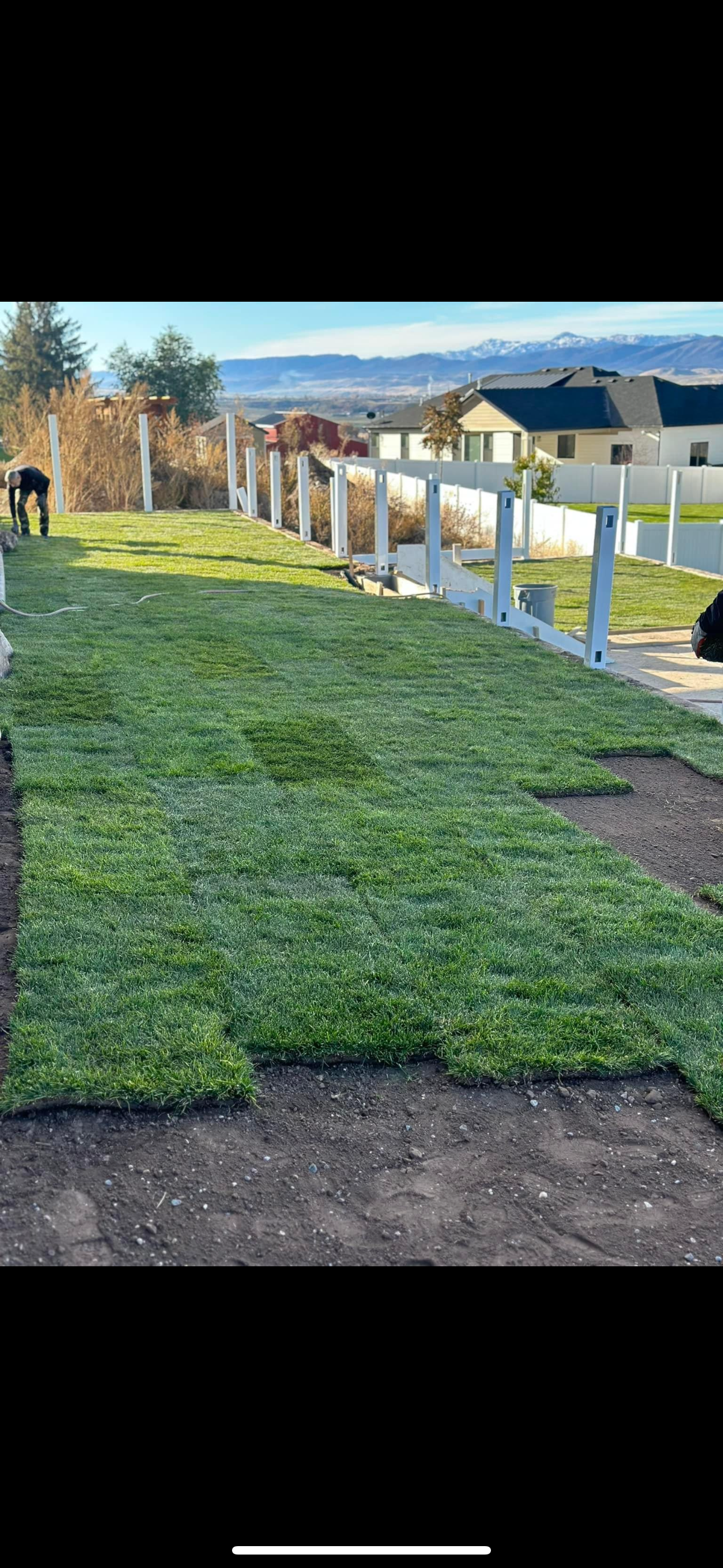 Laying sod in a yard with a white picket fence and a view of mountains.