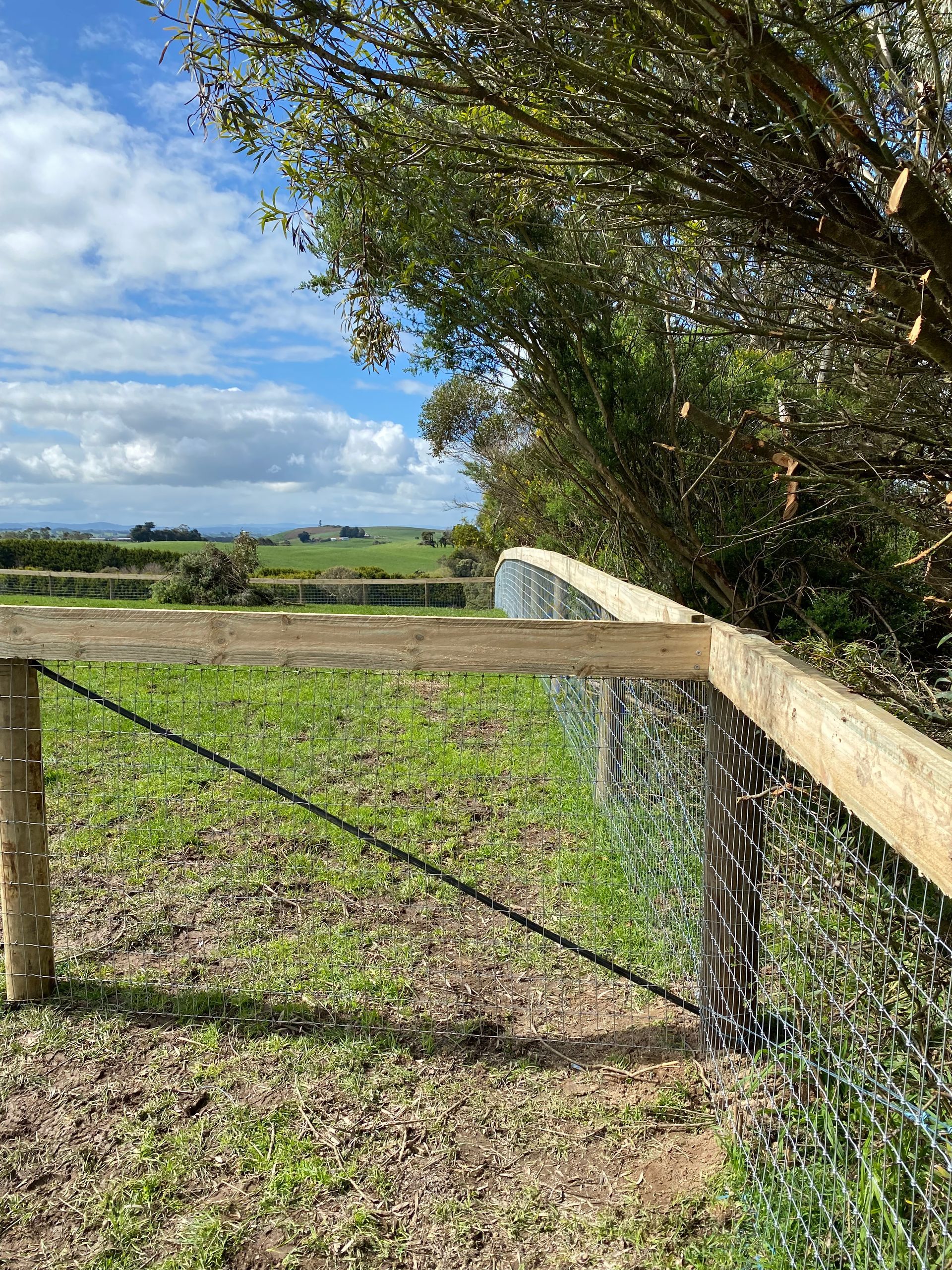 A wooden fence surrounds a grassy field with trees in the background.