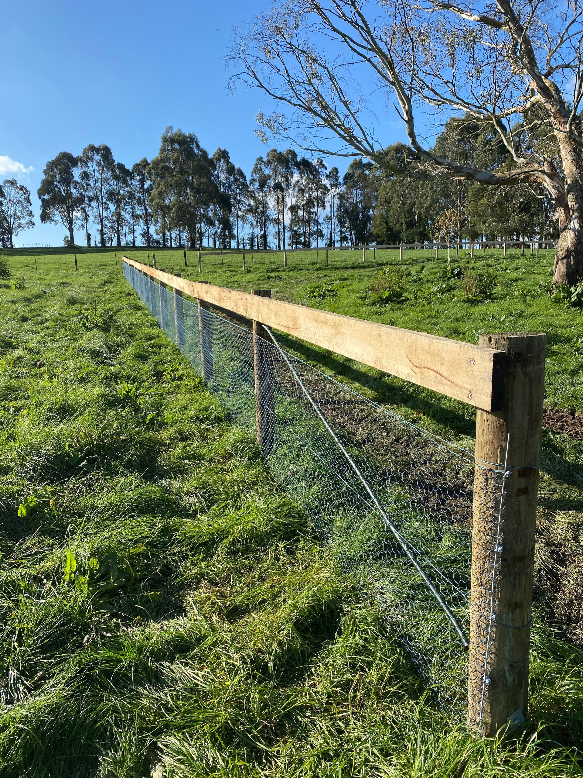 A wooden fence surrounds a grassy field with trees in the background.