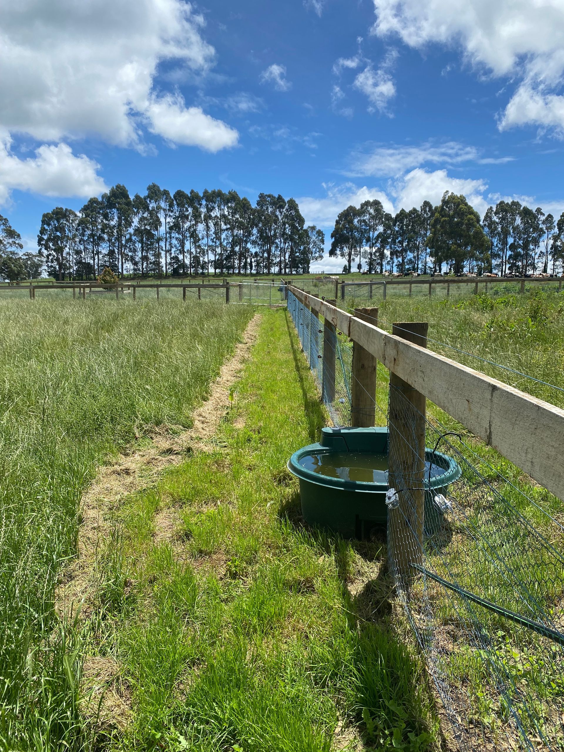 A wooden fence surrounds a grassy field with trees in the background.