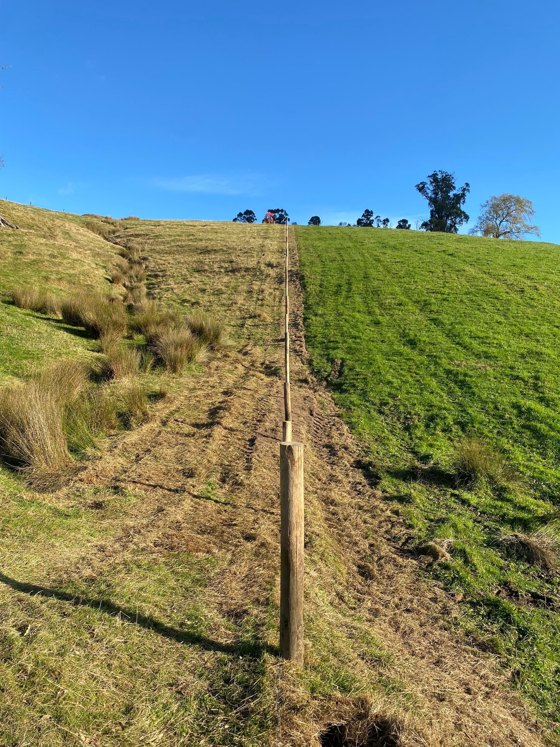 A wooden post is standing in the middle of a grassy field.