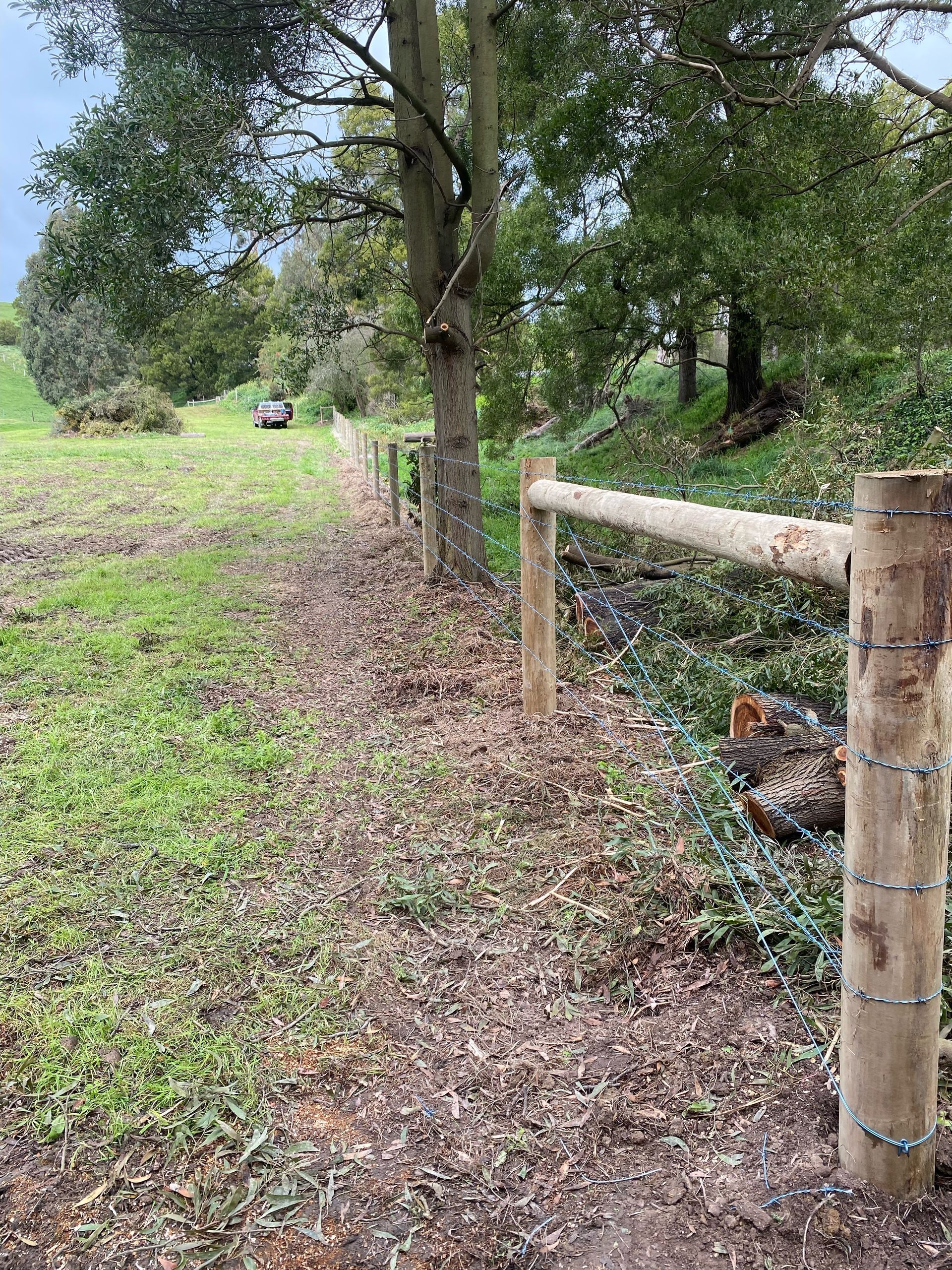 A wooden fence surrounds a grassy field with trees in the background.