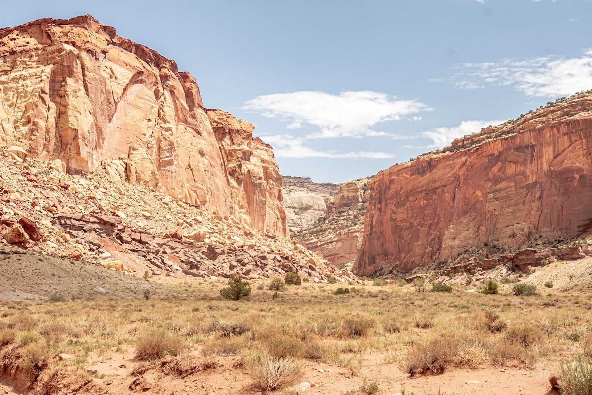 a desert landscape with a canyon and mountains in the background
