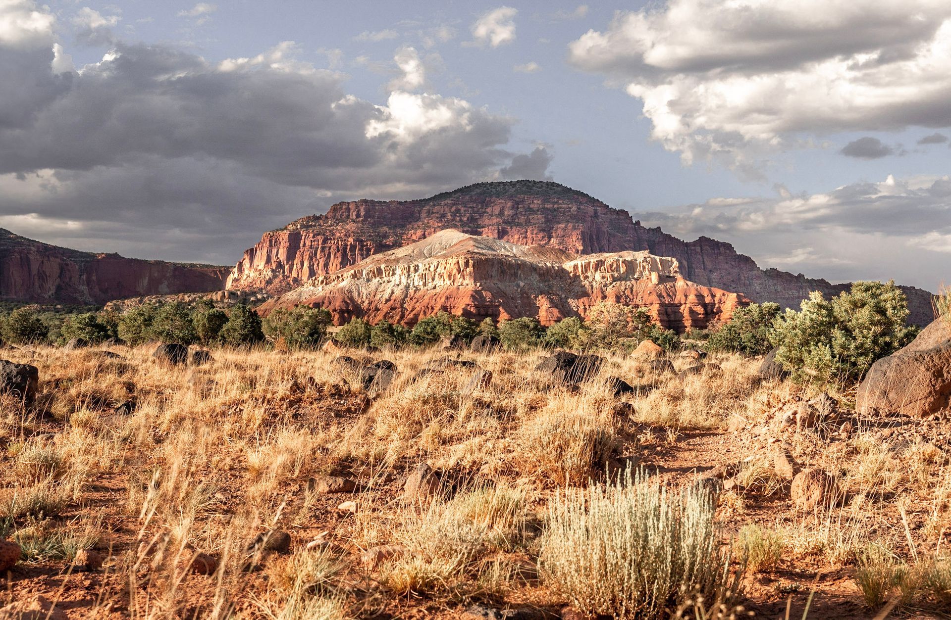a desert landscape with a mountain in the background