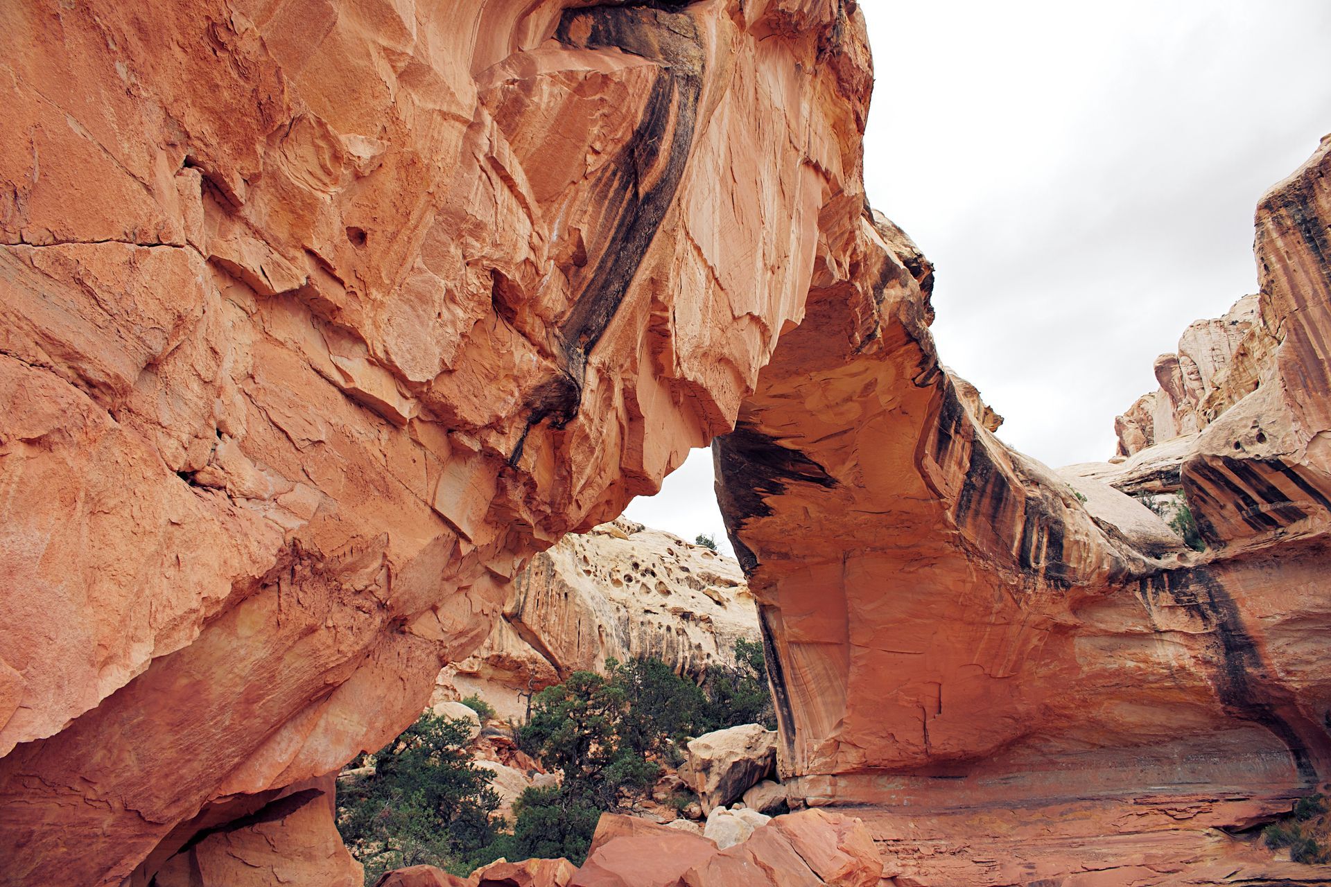 A large rock formation in the middle of a canyon.