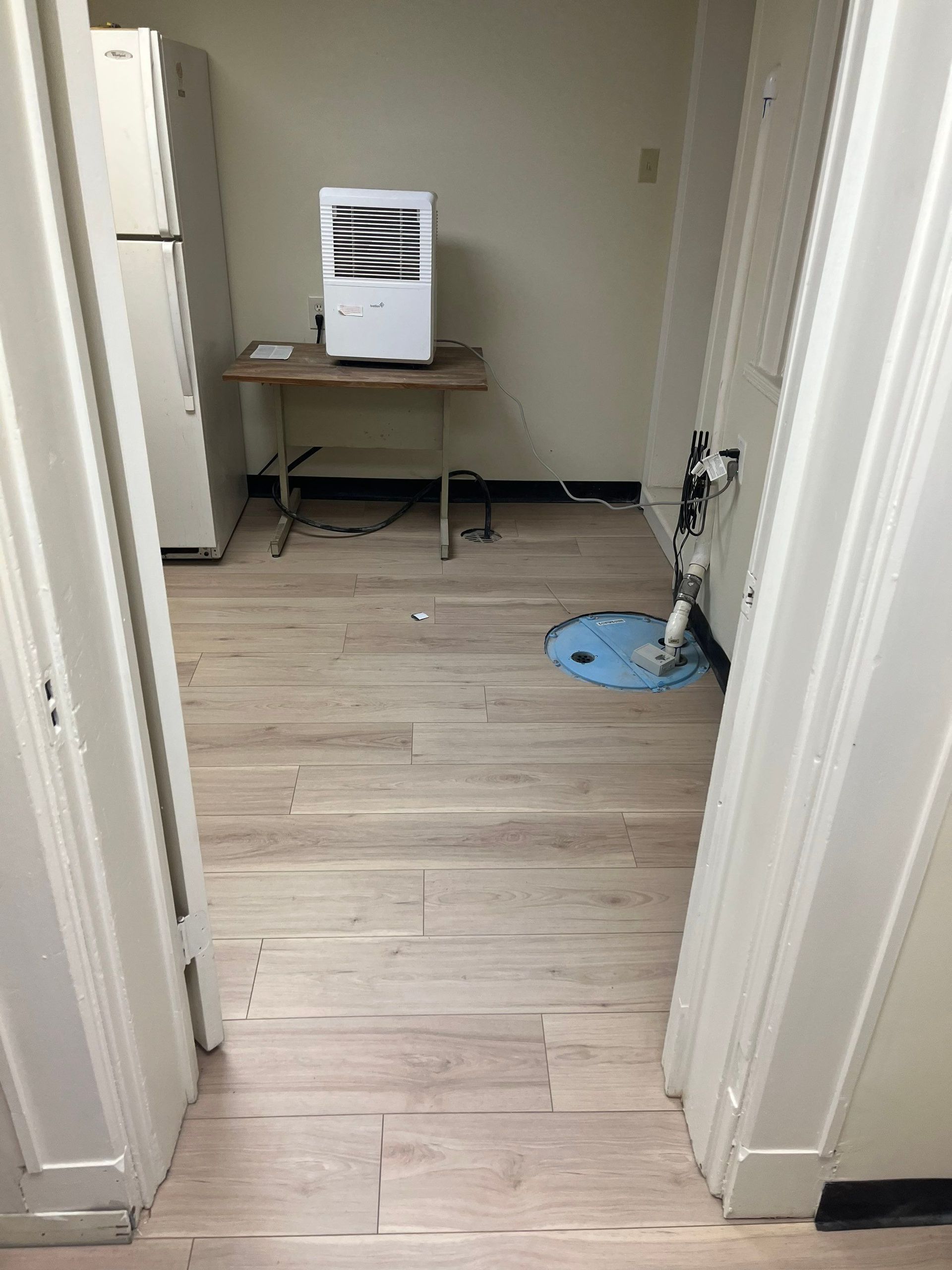 Room with light wood-look flooring, a refrigerator, and a dehumidifier on a table. A sump pump is visible.