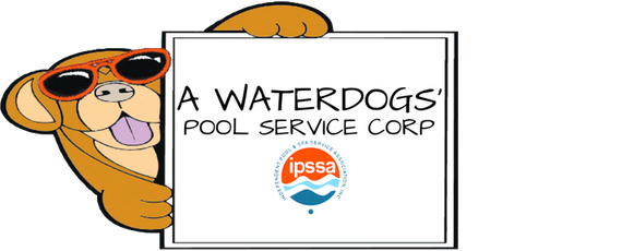 A cartoon dog is holding a sign that says a waterdogs pool service corp.