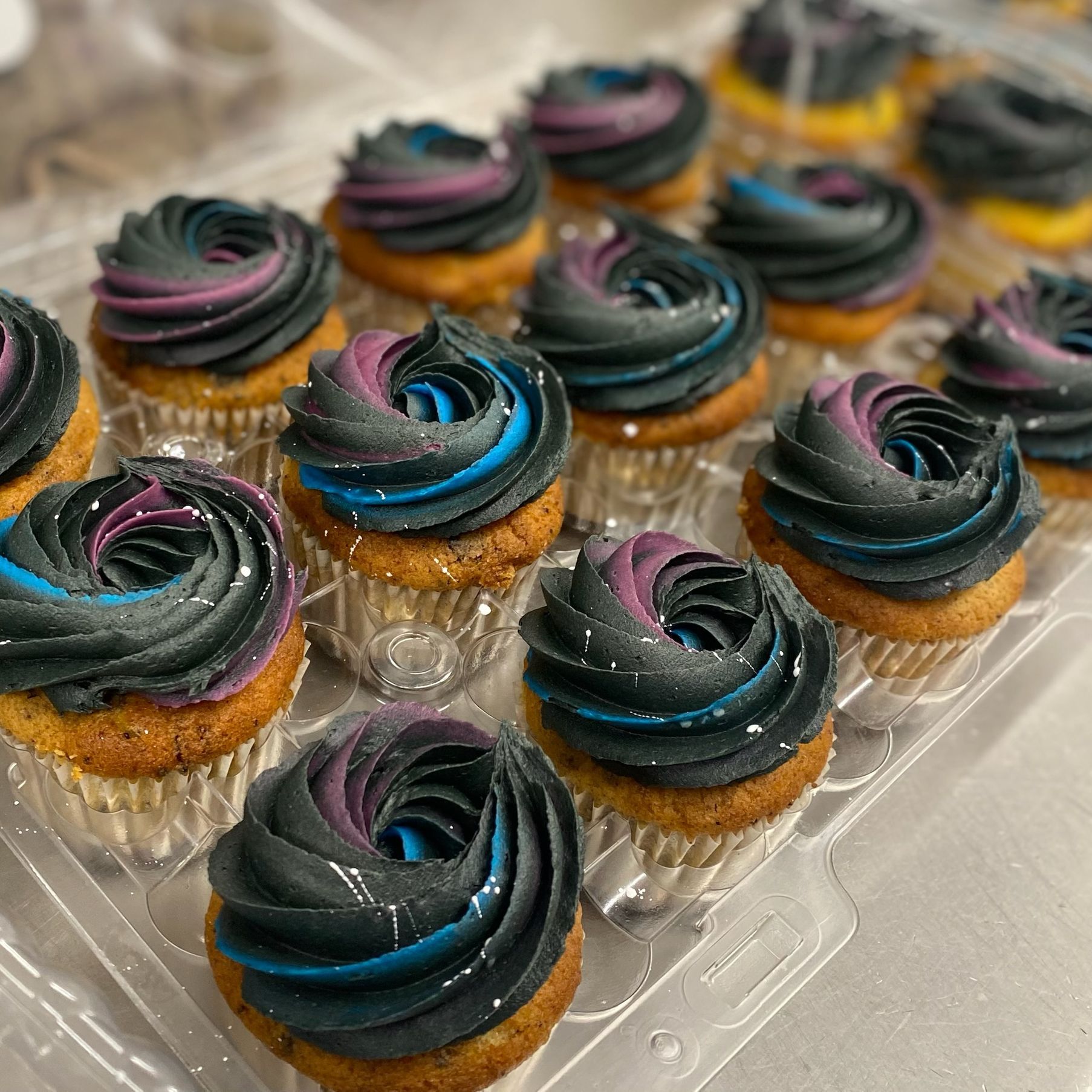 A plastic container filled with cupcakes with black frosting.
