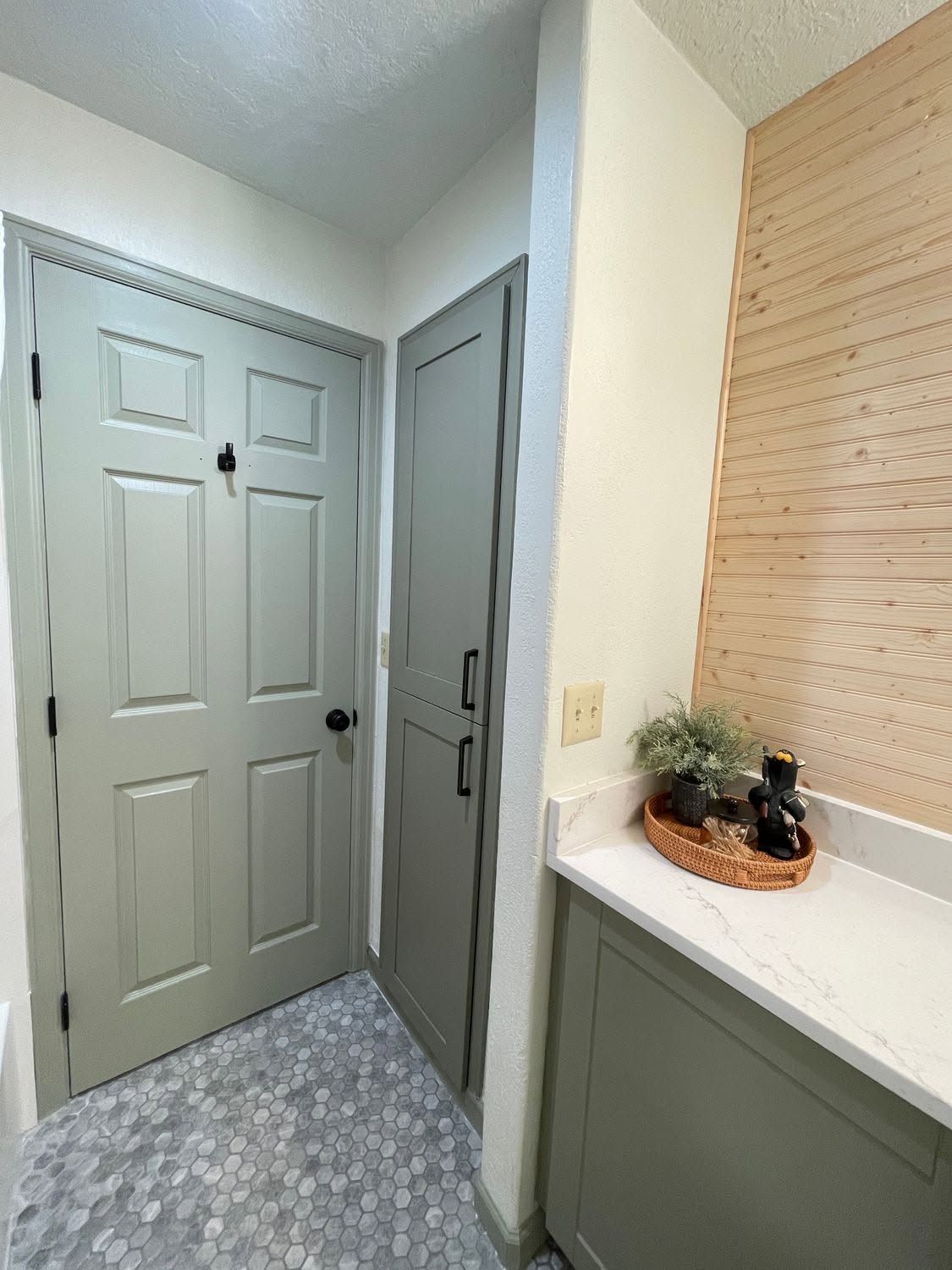 Small entryway with gray closet doors, a wall mirror, and a white counter with a potted plant.
