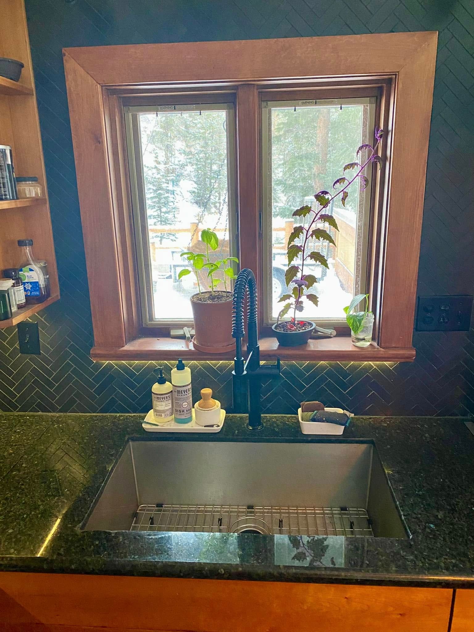 Kitchen sink beneath a window with potted plants and soap on a dark countertop