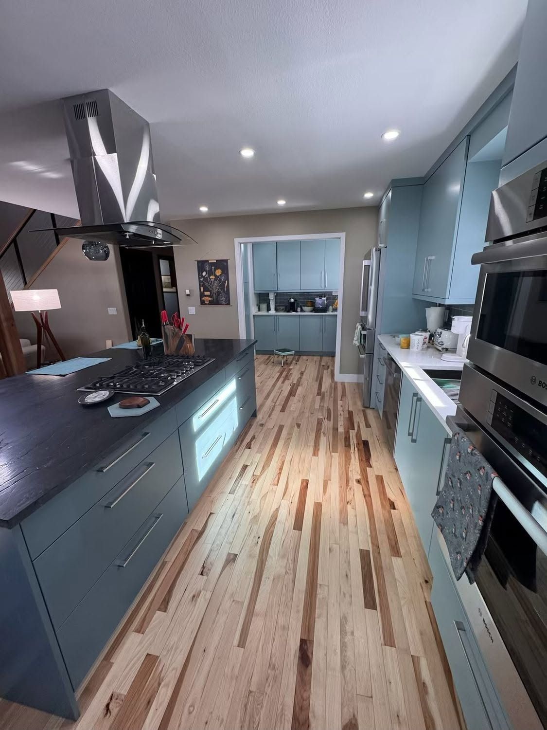 Modern kitchen with blue cabinets, wood floor, black countertops, and stainless steel appliances