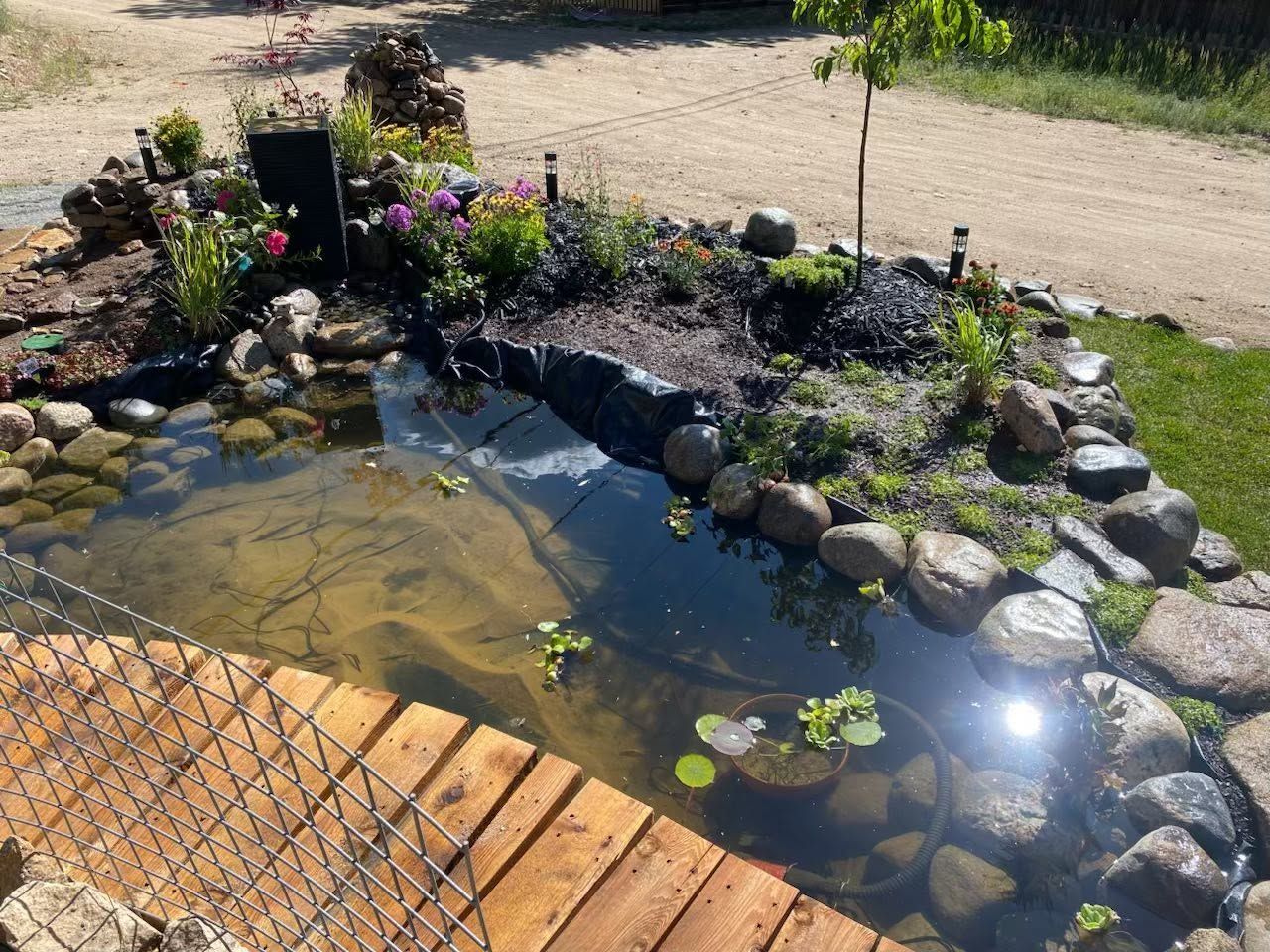 Small backyard pond with rocks, water lilies, and flowers beside a wooden deck in sunlight