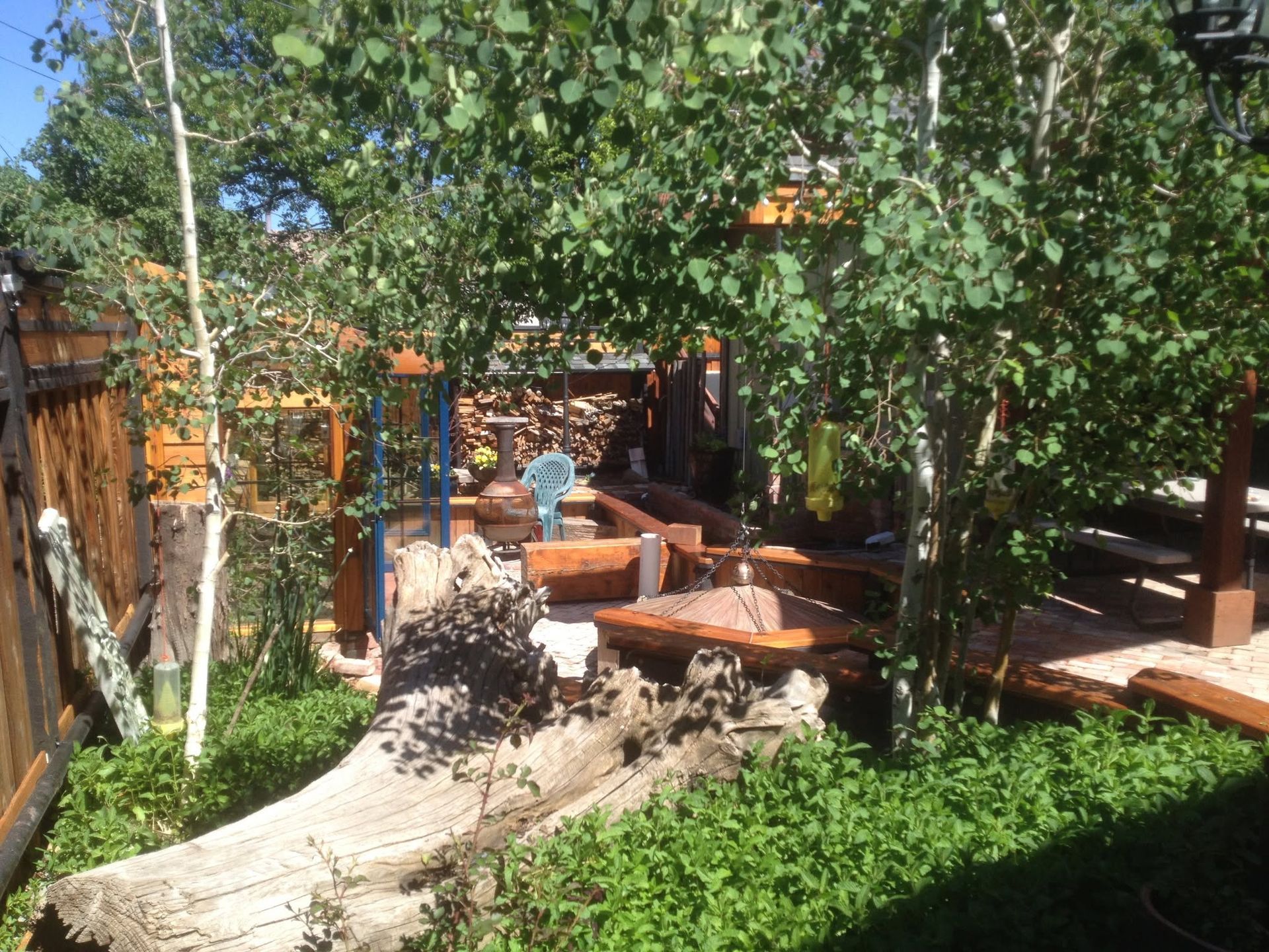 Backyard garden with trees, stone path, wooden deck, and a small bench under dappled sunlight