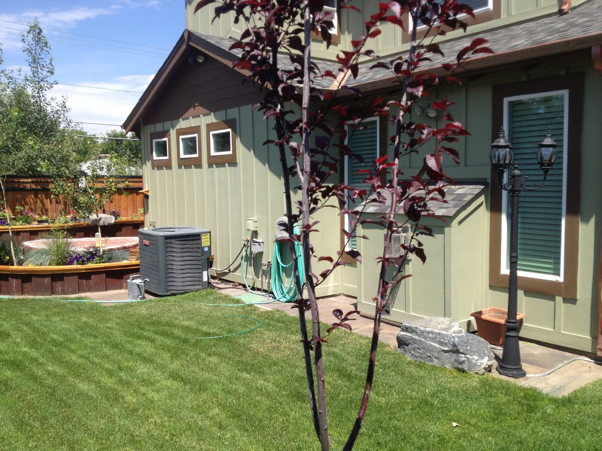 Green house exterior with a small tree, lawn, and windows in sunlight