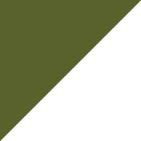 Triangle Triangle