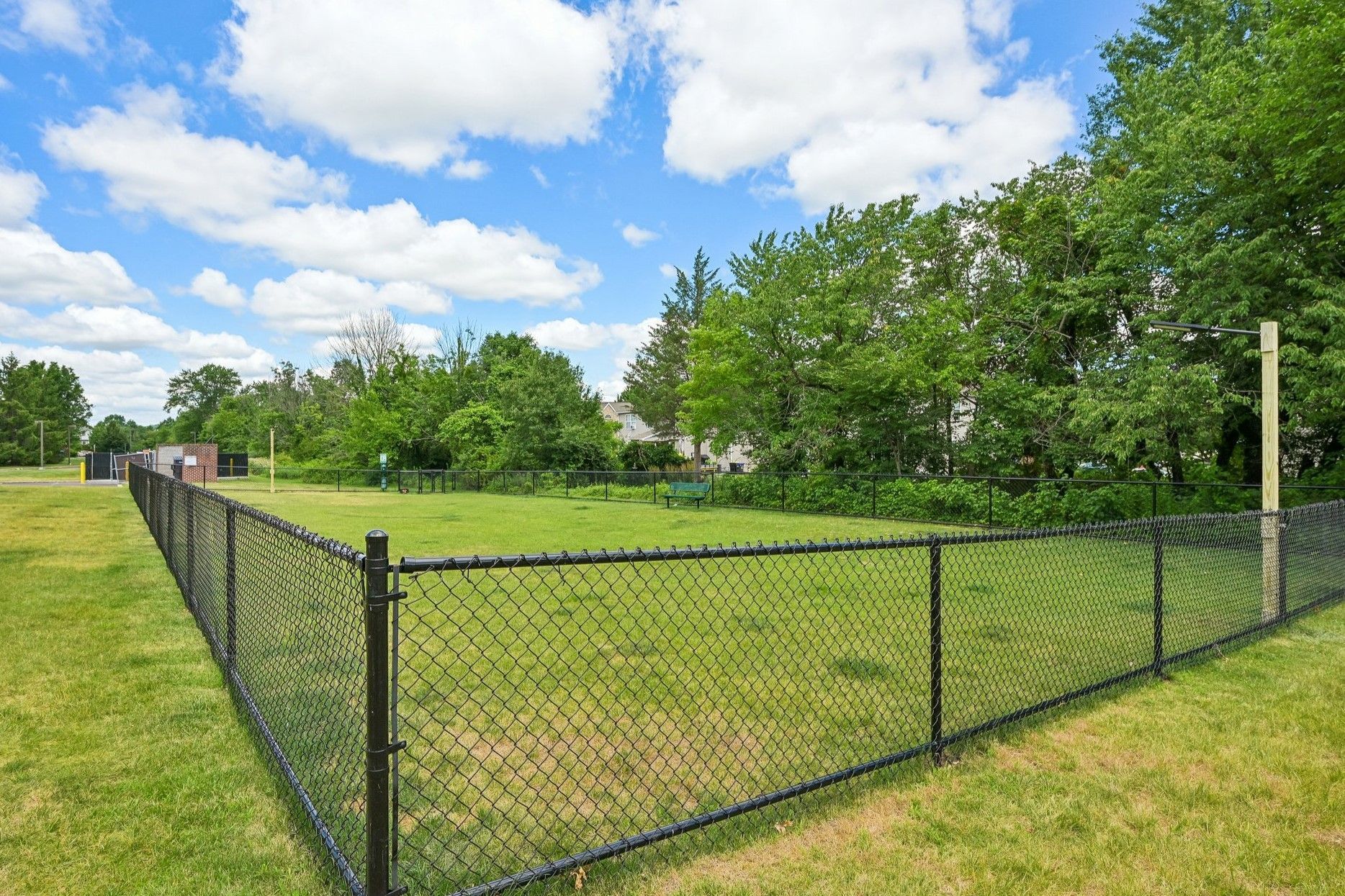 Chain-link fence enclosing a grassy dog park with trees under a blue sky with clouds