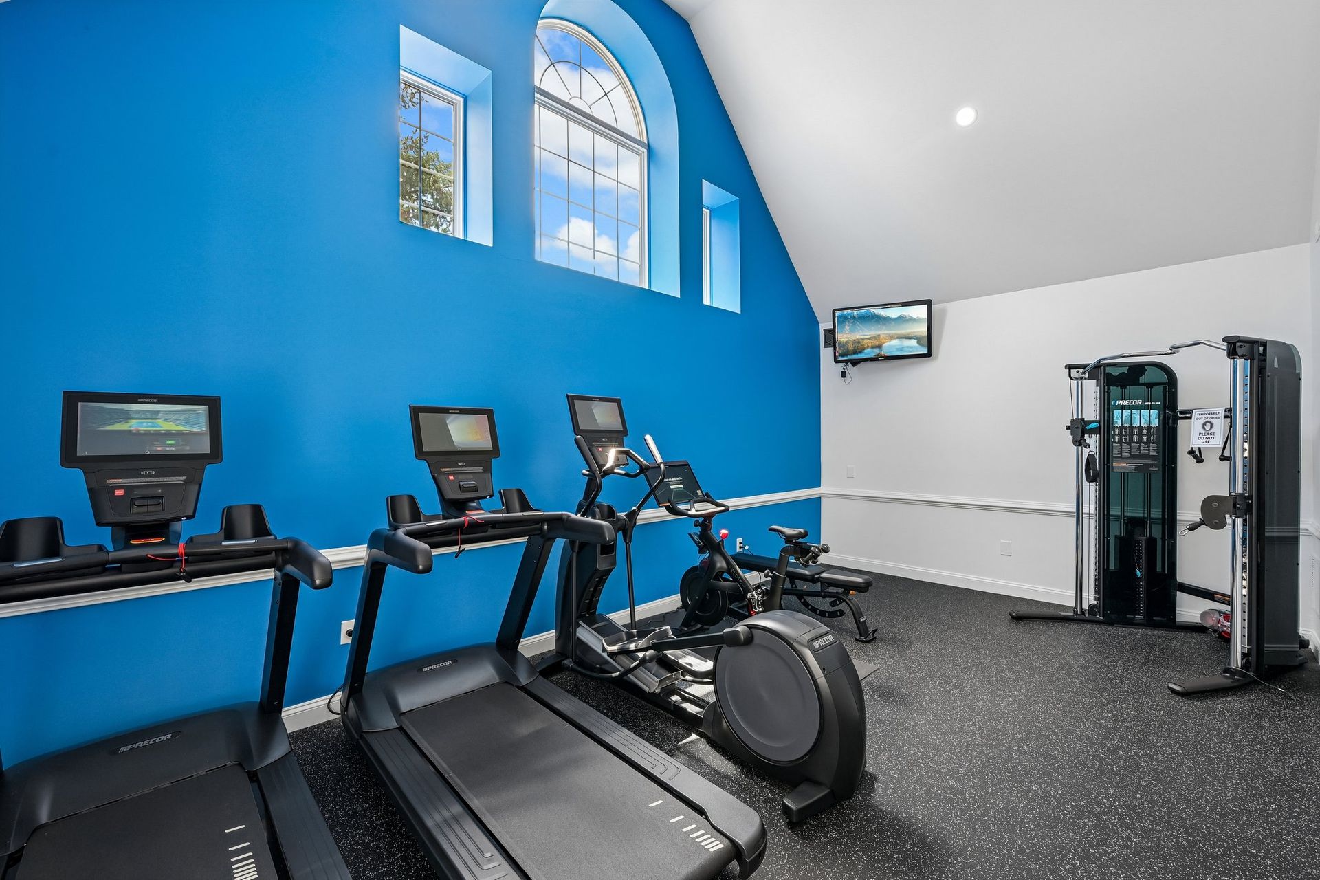 Bright blue gym with treadmills, elliptical, and strength machines in a modern workout room
