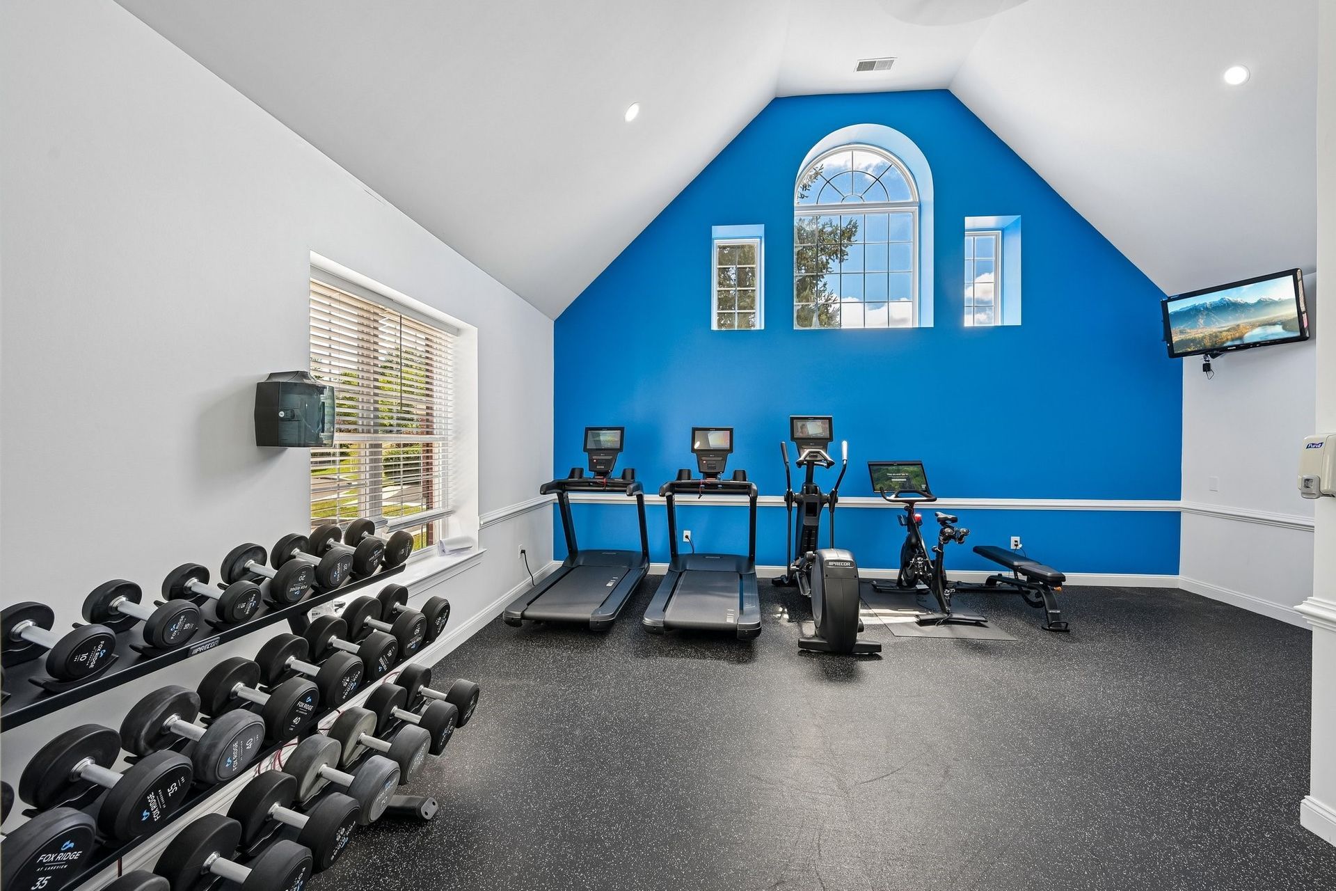 Bright blue gym with treadmills, dumbbells, and workout bench under a vaulted ceiling