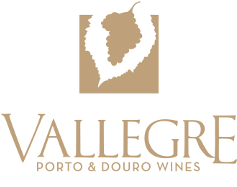 Vallegre Logo