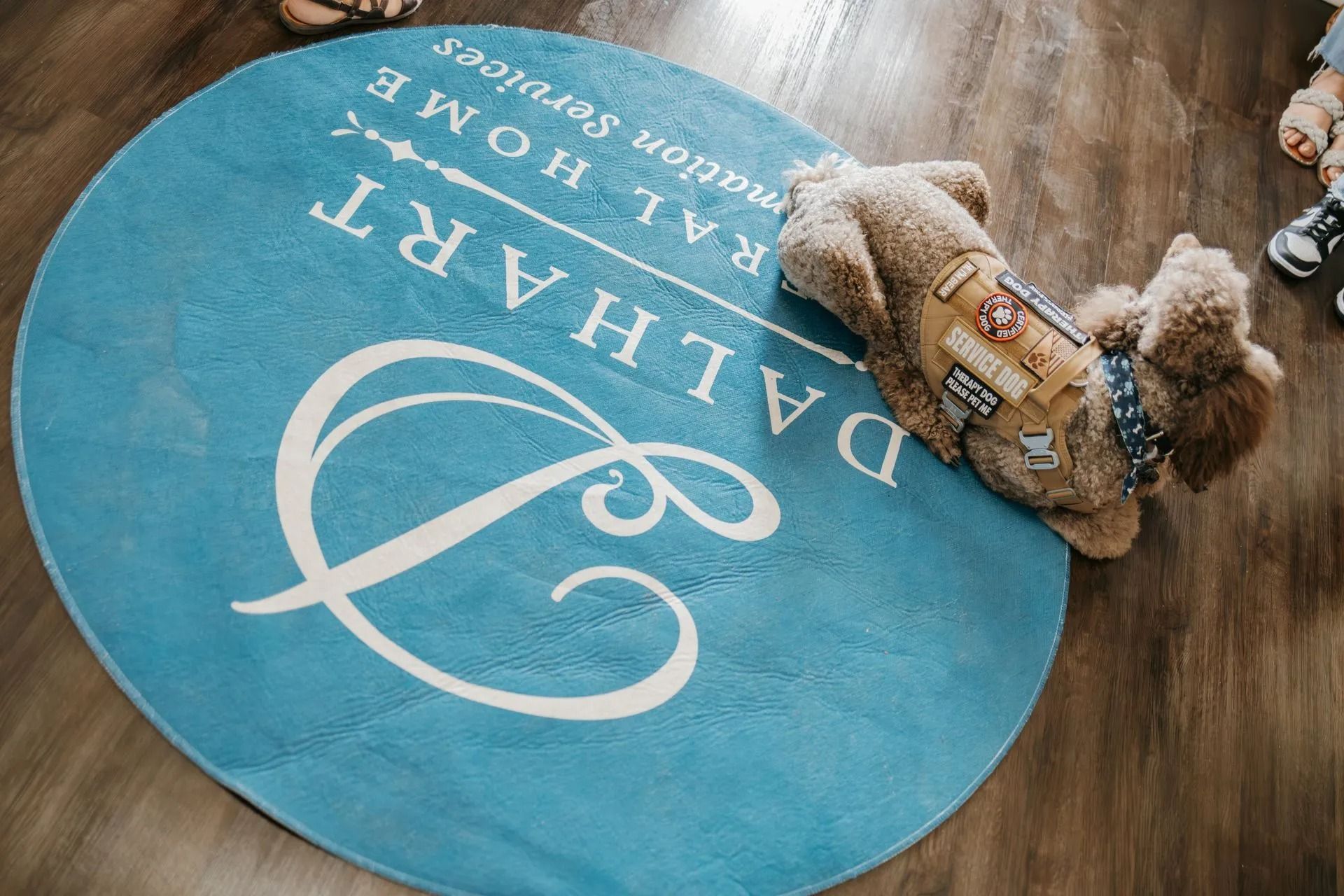 A teddy bear is laying on a blue rug with the dalhart logo on it.