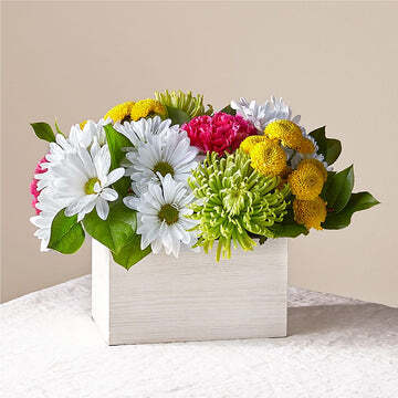 Sorbet Bouquet — Brooklyn, NY — Meaningful Flowers