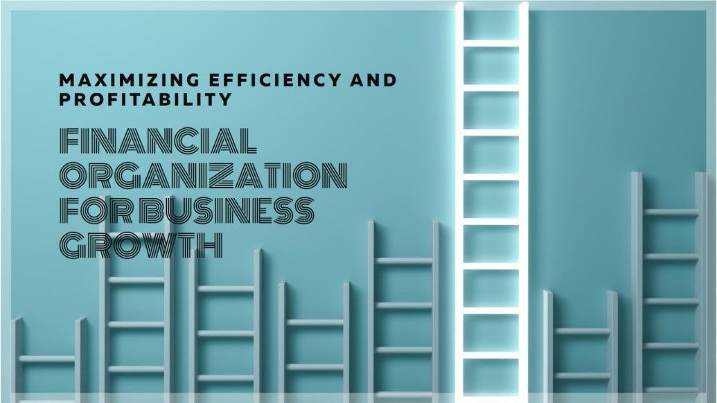 A financial organization for business growth poster with ladders