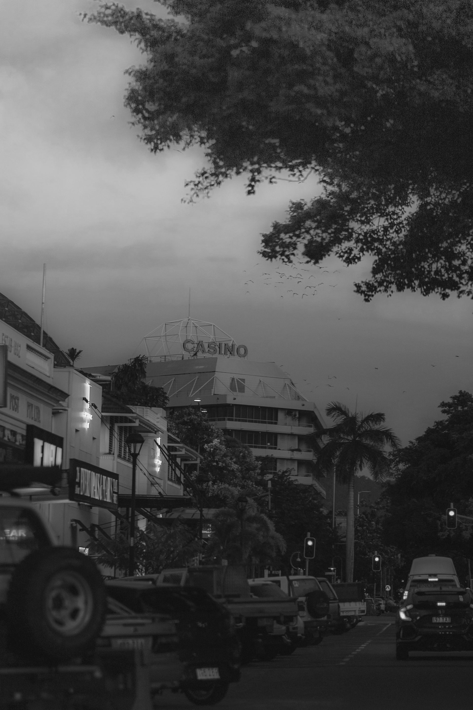 Cena urbana em preto e branco, com prédios e veículos, uma árvore no canto e céu escuro e nublado.