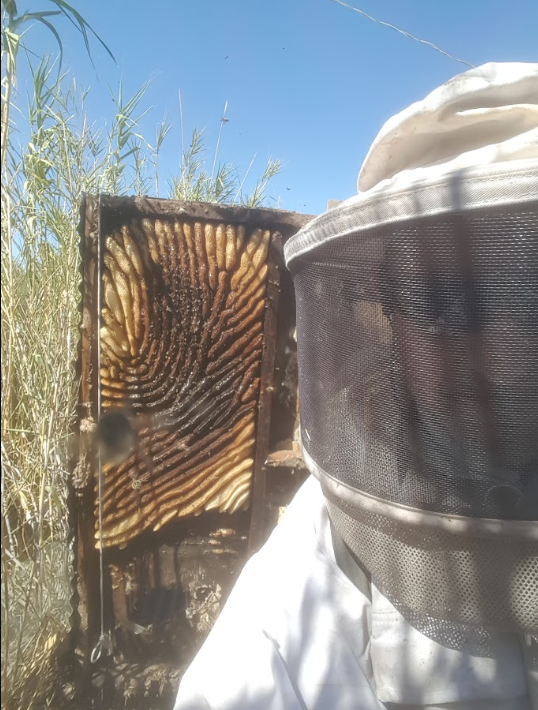 Beekeeping suit and mesh veil beside a hive box outdoors under blue sky