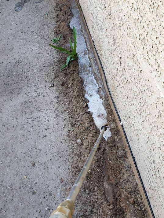 Hand scraping dirt from a concrete crack beside a beige wall, with a small weed growing nearby