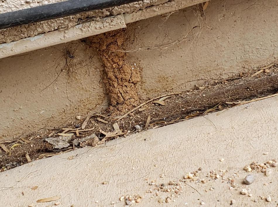 Close-up of a damaged concrete wall with a vertical crack and debris along the base.