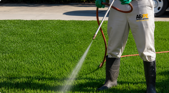 Worker spraying pesticide on a green lawn with a hose wand