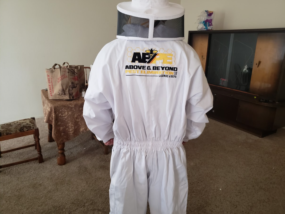 Person in white beekeeping suit and hat facing away in a living room.