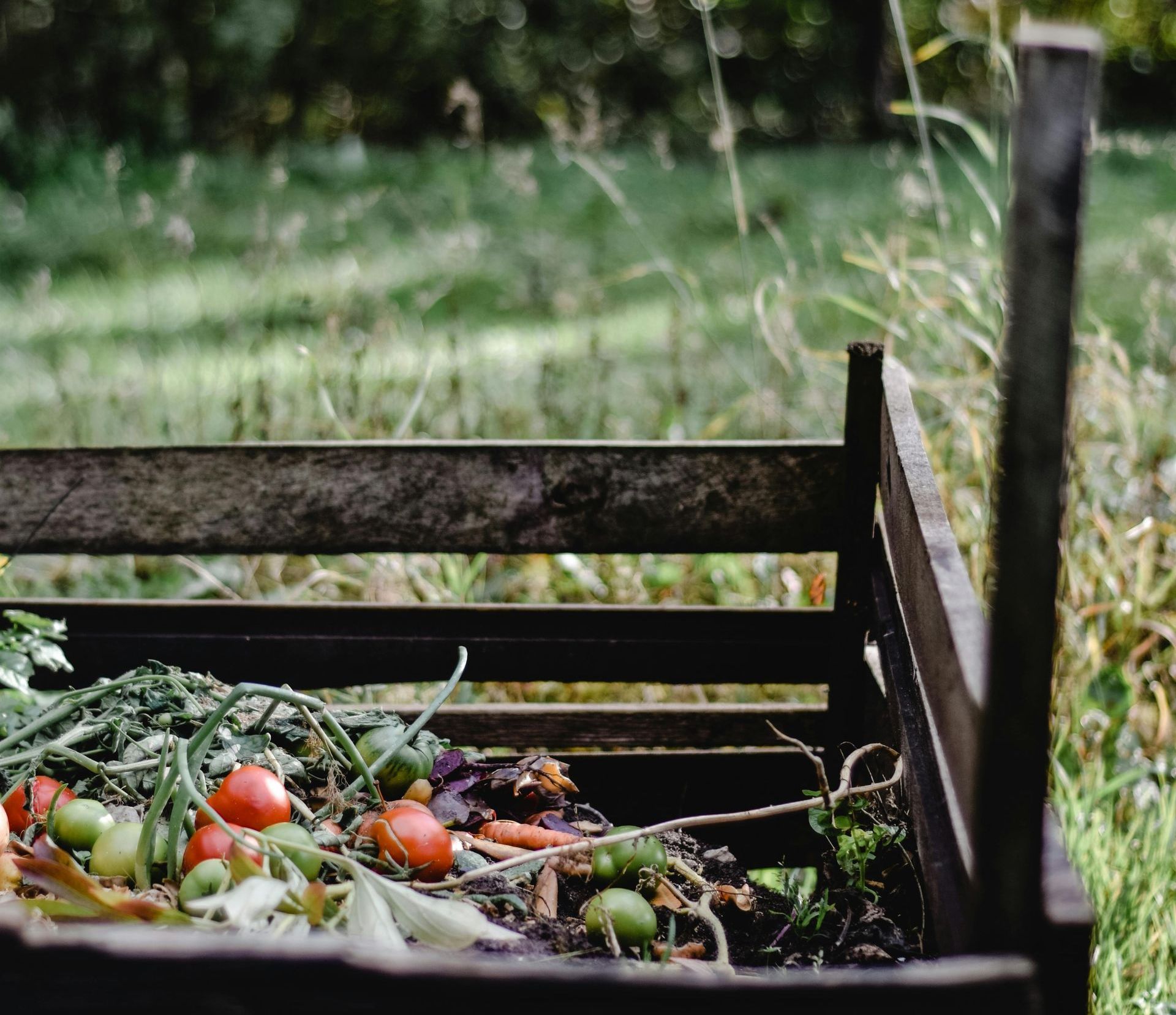 A wooden crate filled with vegetables is sitting in the grass.