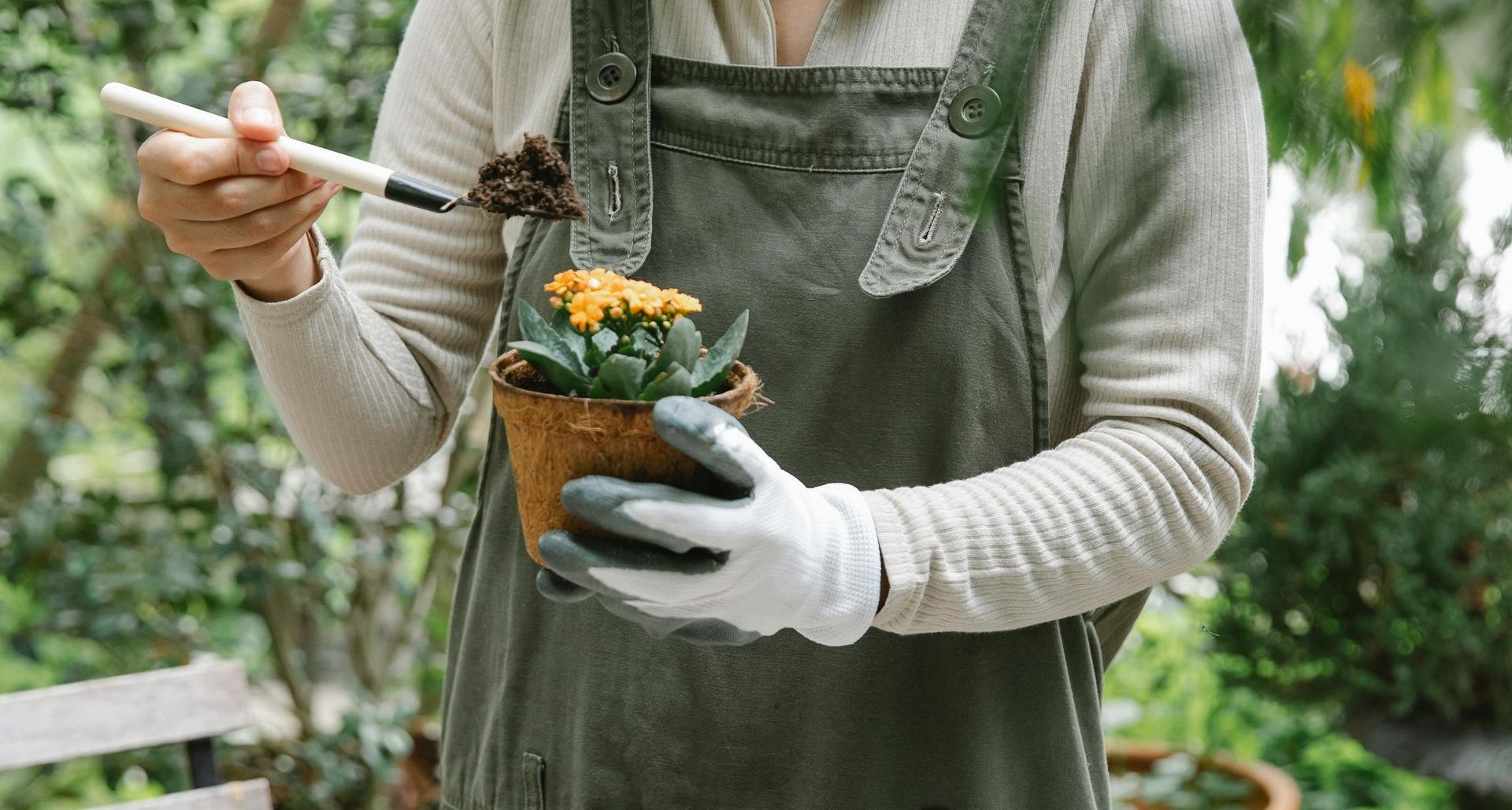 A woman is holding a potted plant and a marker.