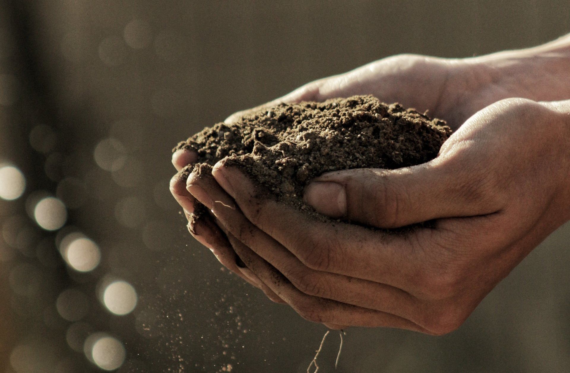 A person is holding a pile of dirt in their hands
