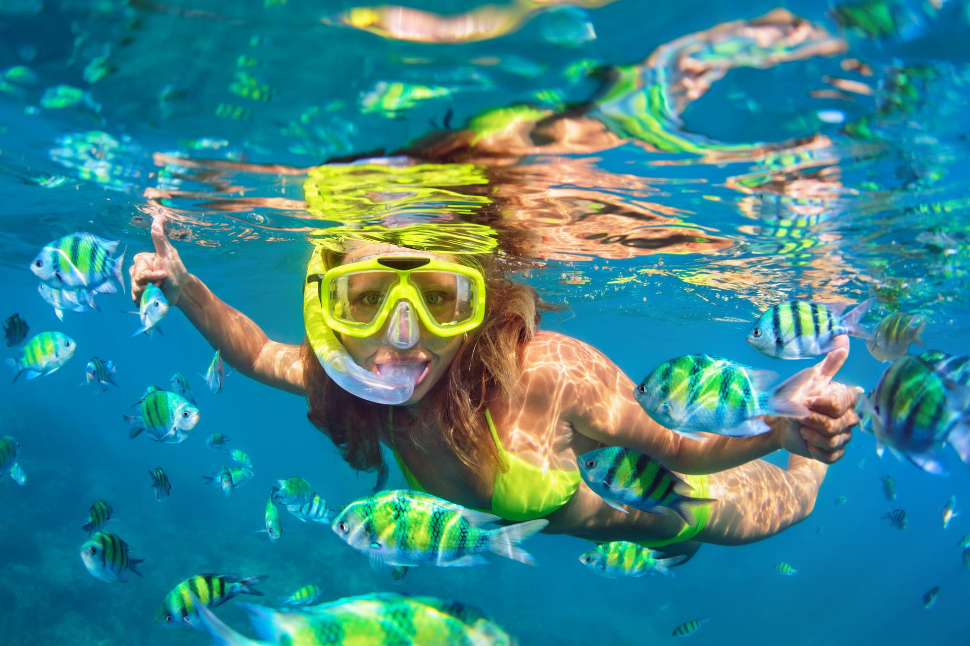 Tripadvisor Teacher Discount
