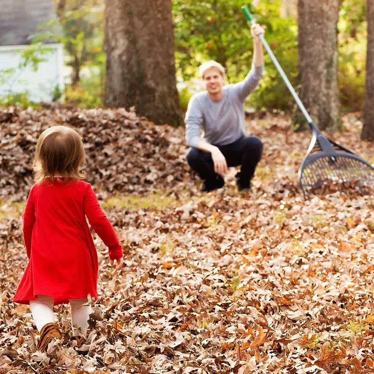A little girl in a red dress is running towards a man raking leaves.