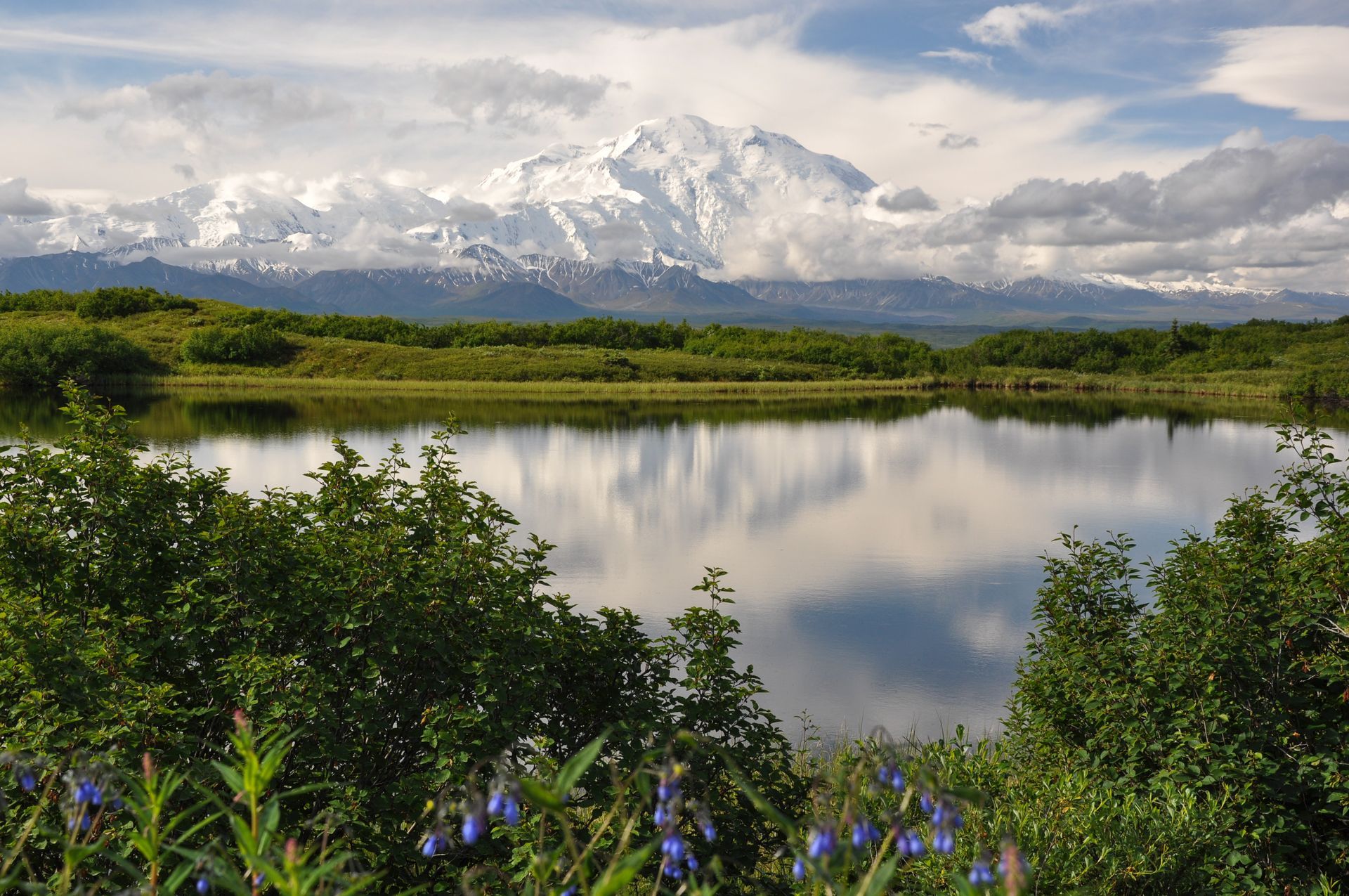 Snowy mountain range reflected in calm lake, green vegetation in foreground under cloudy sky.