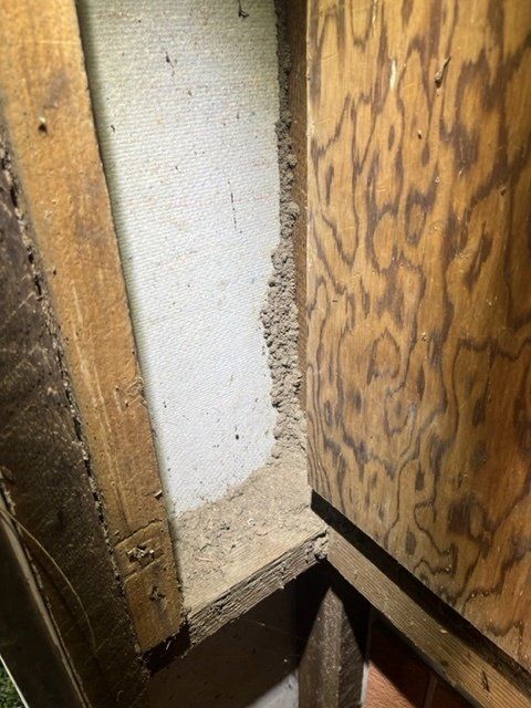 A Close up Of a Wooden Wall with A Hole in It — Benefit Pest Management Pty Ltd in Balcolyn, NSW