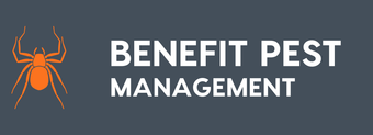 Pest Management: Quality Pest Control Services in Lake Macquarie