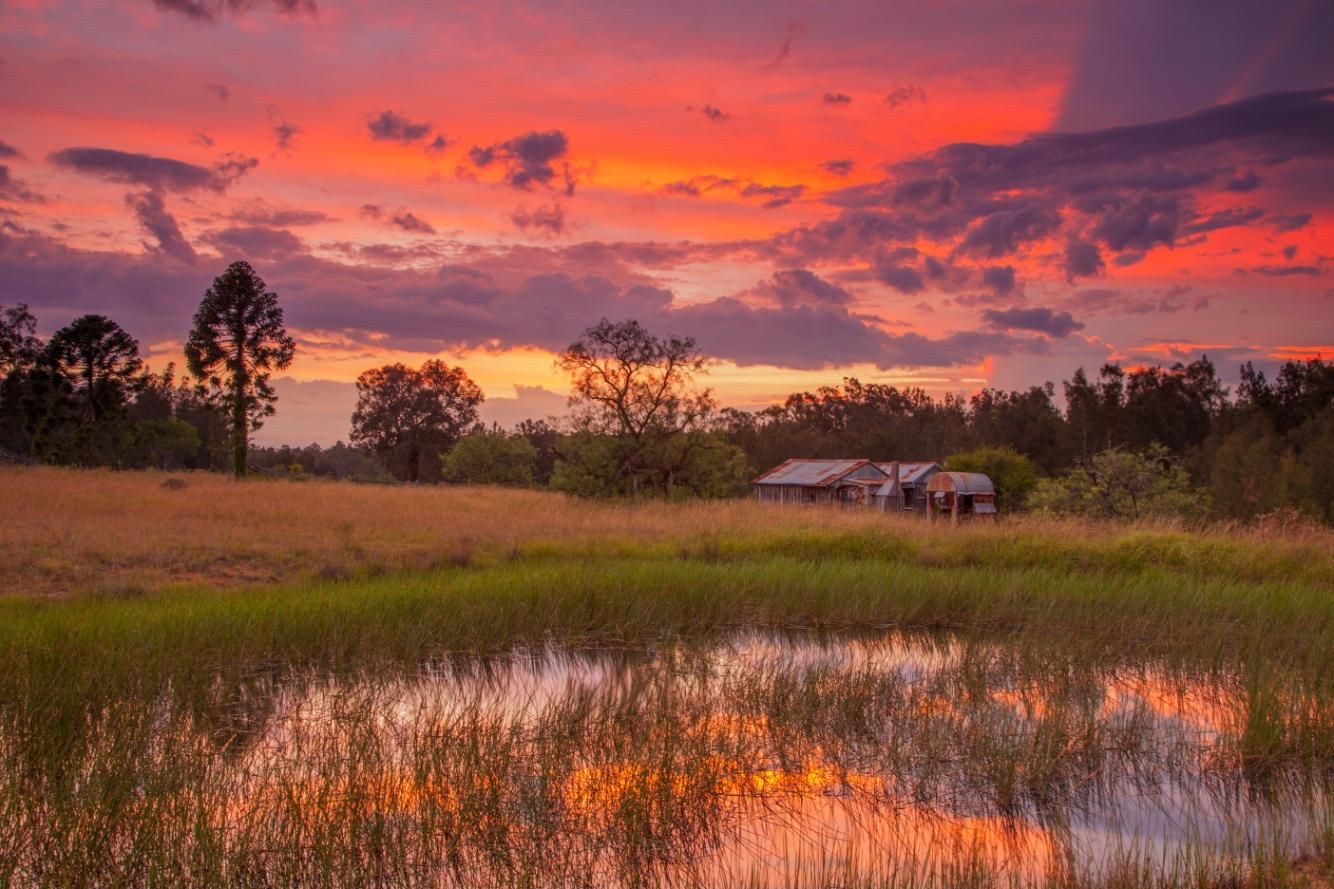 A Sunset Over a Swamp with A House in The Distance — Benefit Pest Management Pty Ltd in Singleton, NSW