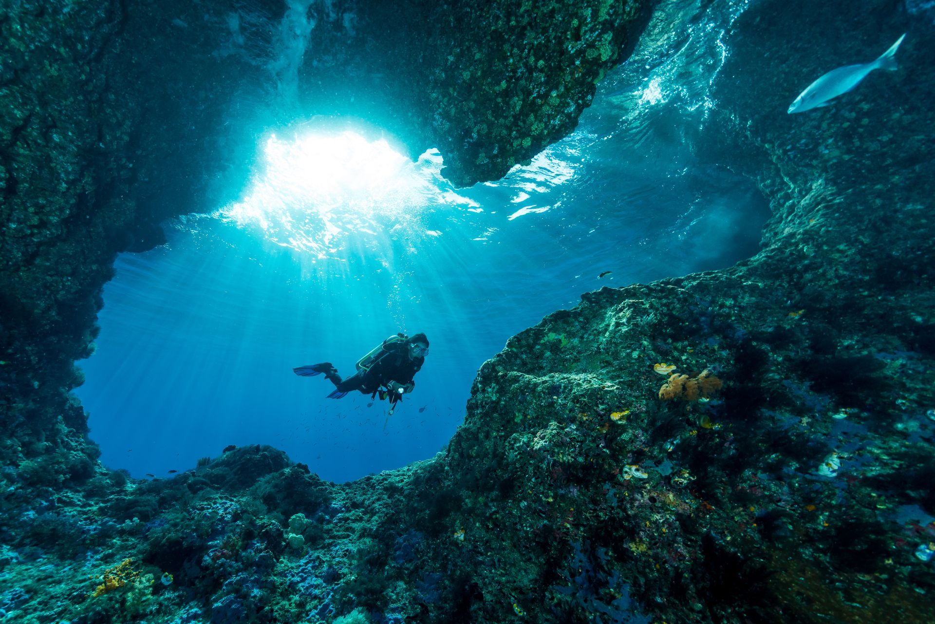 A scuba diver is swimming through a cave in the ocean.