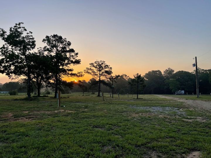 A field with trees and a sunset in the background
