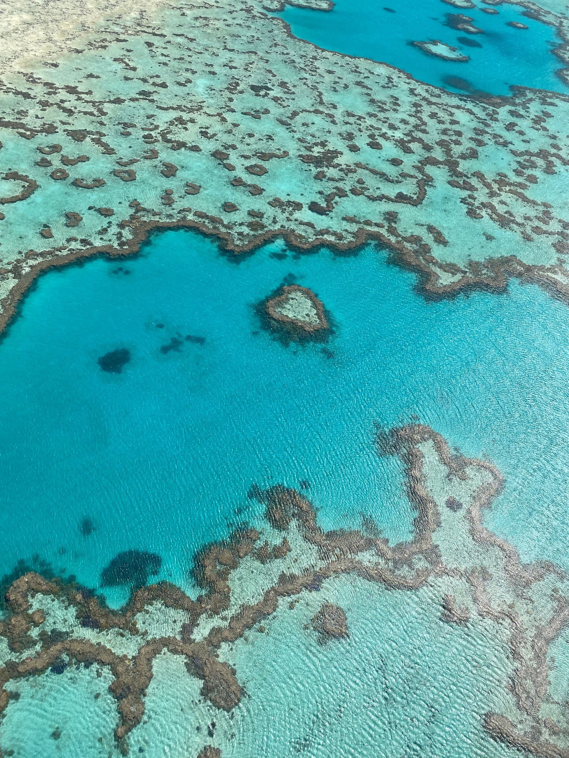 Aerial view of turquoise coral reef patches and lagoons in shallow, clear ocean water.