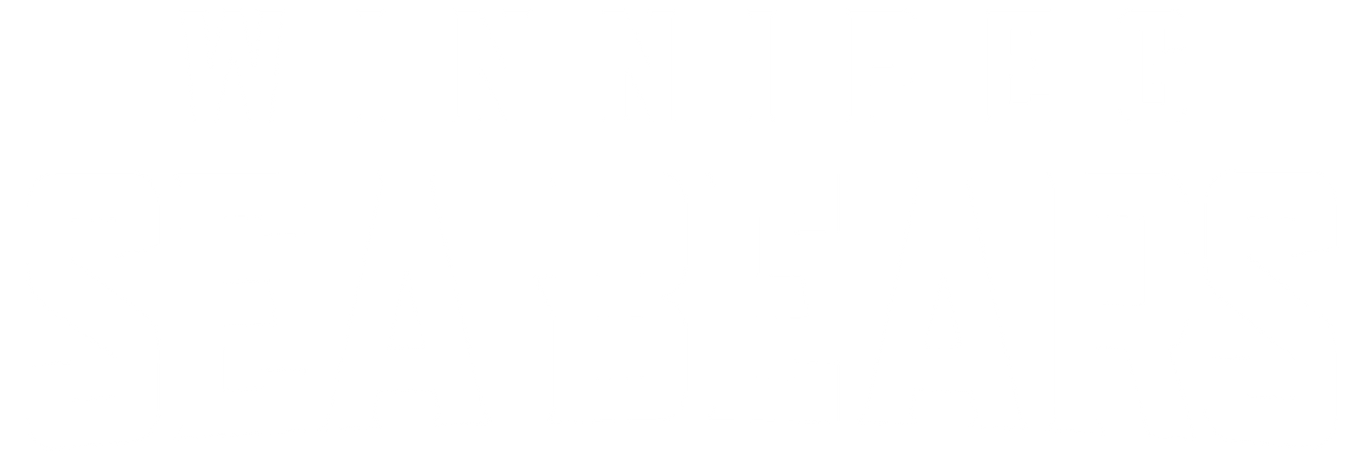 Winnipeg Sea Bears
