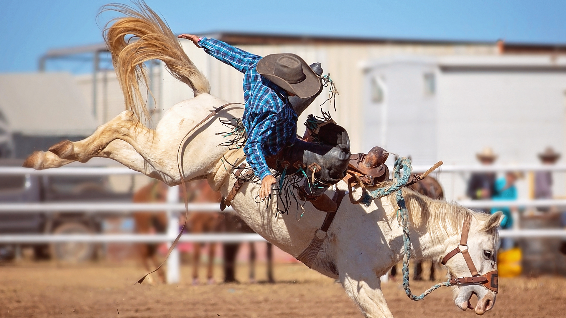 Cowboy riding a bucking white horse in a rodeo arena, dust flying.