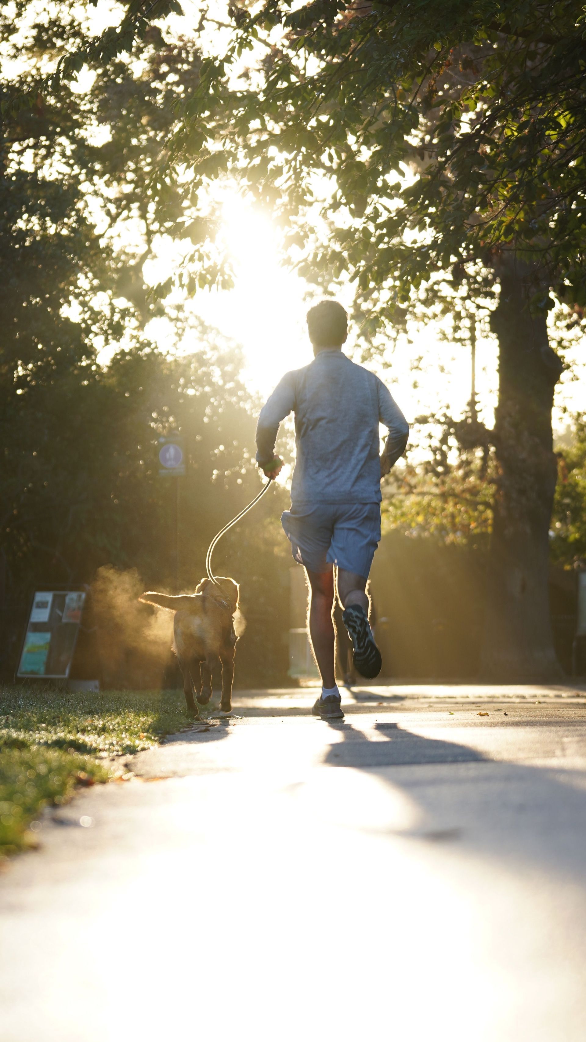Runner and dog jogging along a sunlit path in a park