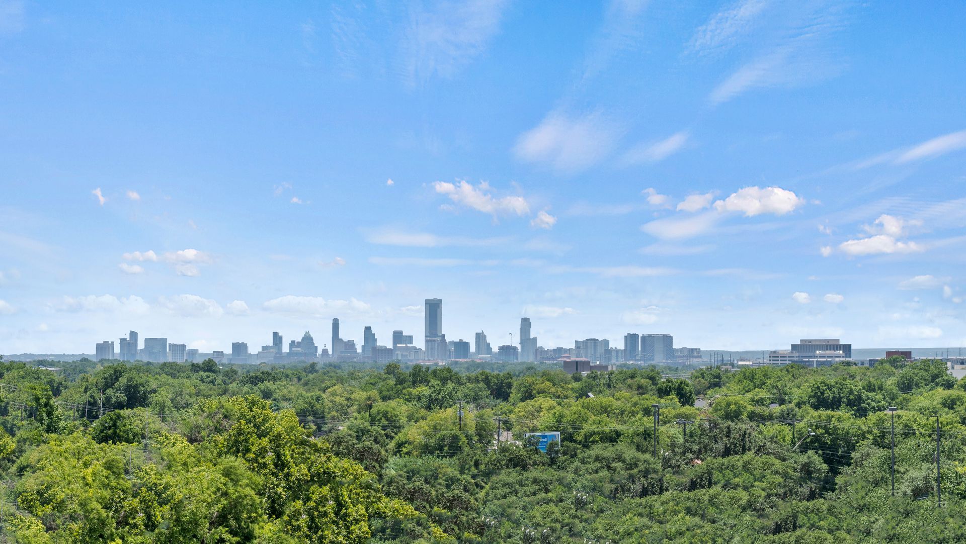 City skyline in the distance above a green treetop canopy under a bright blue sky with scattered clouds