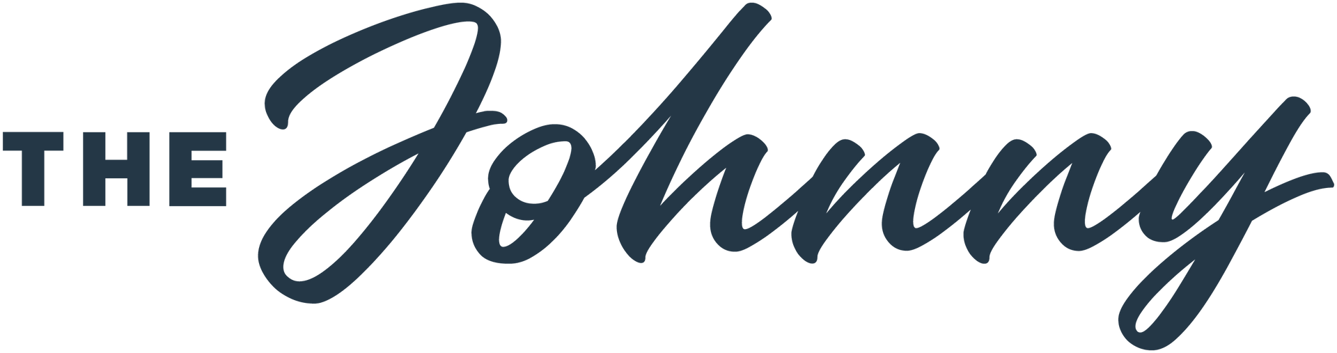 Logo reading &ldquo;The Johnny&rdquo; in dark blue script and block letters on a white background