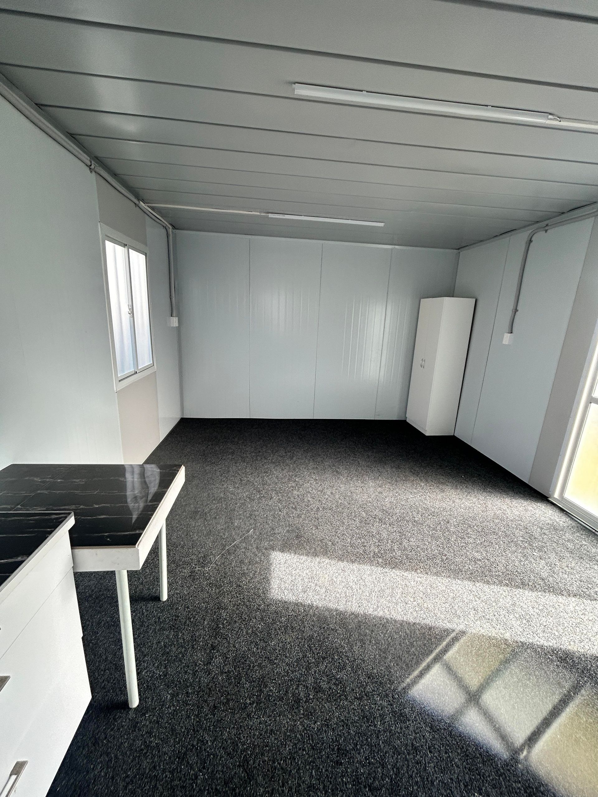 Empty white room with gray carpet, window, and sunlight on the floor